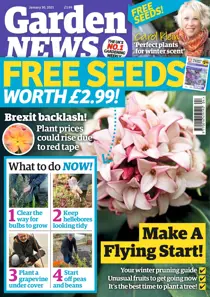 Jan 30th 2021 
                issue Jan 30th 2021