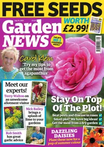 Jul 24th 2021 
                issue Jul 24th 2021