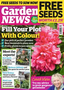 Jun 12th 2021 
                issue Jun 12th 2021