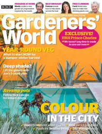 August 2018 
                issue August 2018