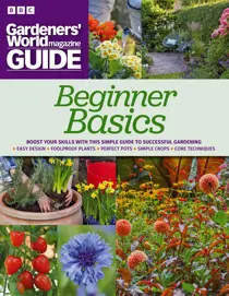 Beginners Basics 2023 
                issue Beginners Basics 2023