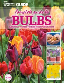 Bulbs 
                issue Bulbs