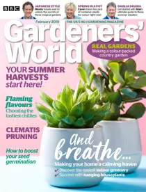 February 2019 
                issue February 2019