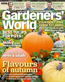 October 2020 
                issue October 2020