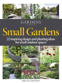 Small Gardens 2021 
                issue Small Gardens 2021