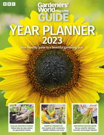 Year Planner 2023 
                issue Year Planner 2023