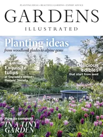 April 2019 
                issue April 2019