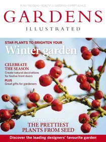 December 2014 
                issue December 2014