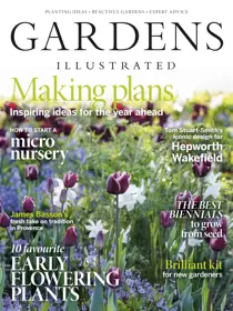 Feb-21 
                issue Feb-21