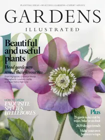 January 2020 
                issue January 2020