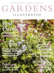 July 2017 
                issue July 2017