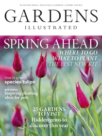 March 2019 
                issue March 2019