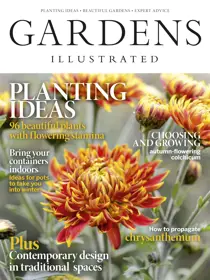 November 2019 
                issue November 2019