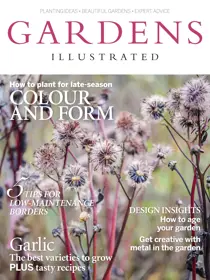 Novemeber 2016 
                issue Novemeber 2016