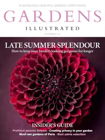 September 2013 
                issue September 2013