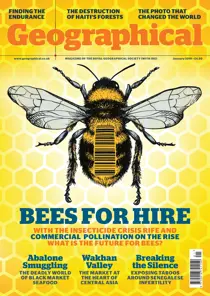 January 2019 
                issue January 2019