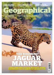 July 2020 
                issue July 2020