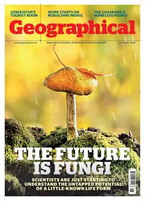 June 2020 
                issue June 2020