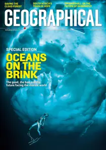 June 2023 
                issue June 2023