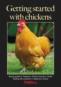 Getting started with chickens 
                issue Getting started with chickens