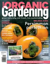 issue 11.1 
                issue issue 11.1