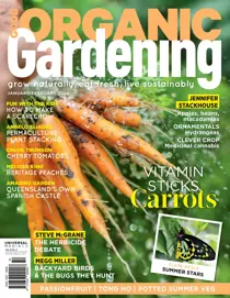 Issue#10.5 
                issue Issue#10.5