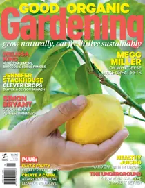 ISSUE#4.1 2013 
                issue ISSUE#4.1 2013