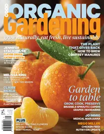 Issue#6.6 - 2016 
                issue Issue#6.6 - 2016