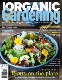 Issue#8.3 - 2017 
                issue Issue#8.3 - 2017