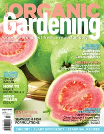 Issue#9.3 - 2018 
                issue Issue#9.3 - 2018