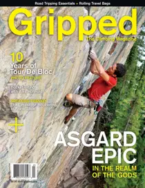 Volume 15 Issue 3 
                issue Volume 15 Issue 3