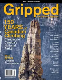 Volume 19 Issue 3 
                issue Volume 19 Issue 3