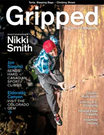 Volume 21 Issue 3 
                issue Volume 21 Issue 3