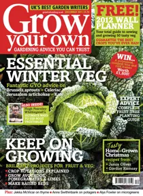 December 2011 
                issue December 2011