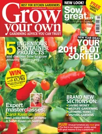February 2011 
                issue February 2011