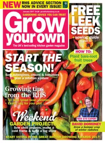 Jan-17 
                issue Jan-17