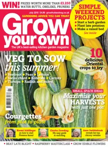 Jul-15 
                issue Jul-15