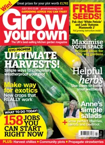 July 2013 
                issue July 2013