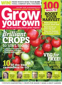 Jun-15 
                issue Jun-15