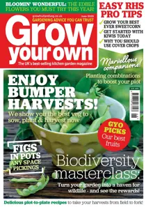 Jun-23 
                issue Jun-23