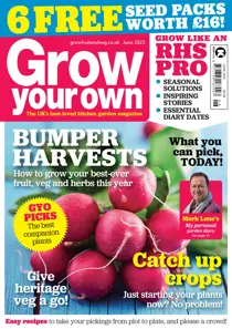 Jun-25 
                issue Jun-25