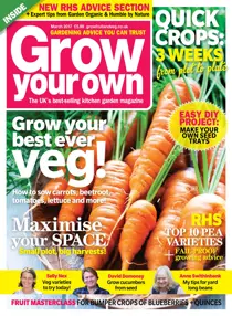 Mar-17 
                issue Mar-17