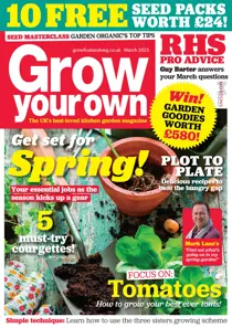 Mar-25 
                issue Mar-25