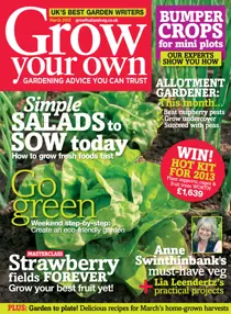 March 2013 
                issue March 2013