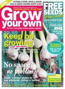 Nov-16 
                issue Nov-16