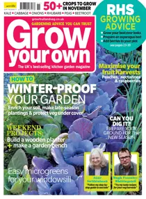 Nov-17 
                issue Nov-17