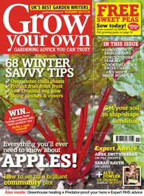 November 2011 
                issue November 2011