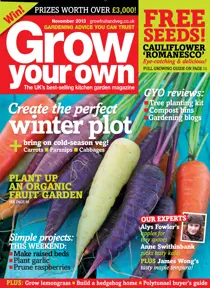 November 2013 
                issue November 2013