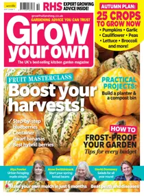 Oct-17 
                issue Oct-17