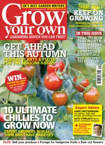 September 2011 
                issue September 2011